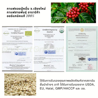 กาแฟดริปออแกนิค กาแฟเชียงใหม่ วอชด์โพรเซส ดอยปู่หมื่น 10gx10 ถุงดริป Drip Bag coffee อราบิก้าแท้100% คั่วอ่อน,กลาง,เข้ม
