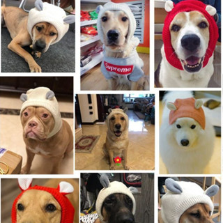 หมวกไหมพรม หมวกสุนัข กันหนาว พันธุ์กลาง-ใหญ่