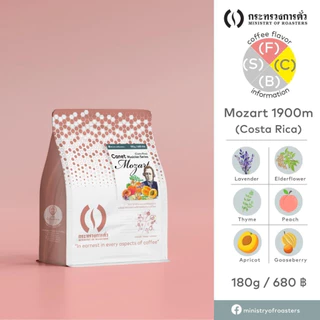 เมล็ดกาแฟดริป Costa Rica Canet Mozart | กระทรวงการคั่ว | Costa Rica Rose Strawberry Grape