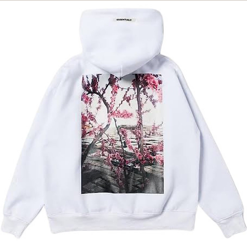 ESSENTIALS PHOTO PULLOVER HOODIE ( WHITE )