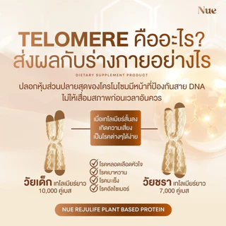 Nue (นูว์) โปรตีนจากพืช เกรดพรีเมียม และนวัตกรรมชะลอวัย ระดับ DNA