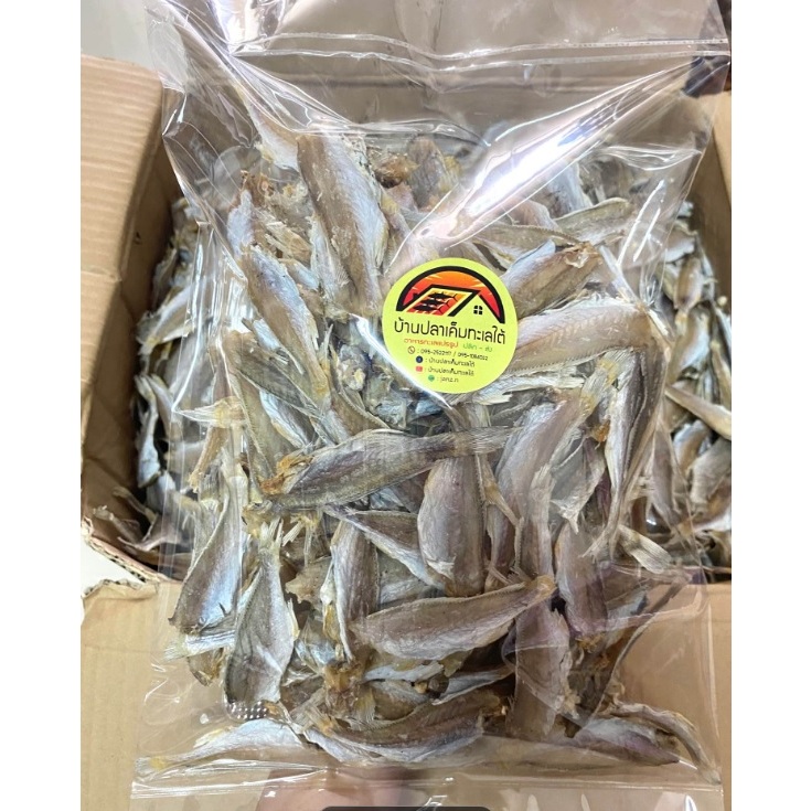 ปลาจวดตากแห้ง สะอาดสดใหม่ ราคาถูก อร่อย น้ำหนัก 500กรัม ตัวเล็ก ทอดกรอบอร่อย