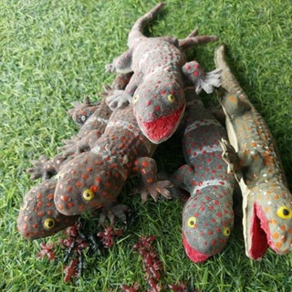 ❤️ตุ๊กแกปลอม ขนาด10นิ้ว(น่ารัก)คละแบบให้นะคะ