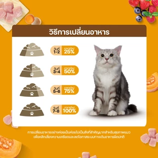 Lifemate Care+ Urinary Hairball Digestive อาหารแมวโตสูตรป้องกันปัญหาทางเดินปัสสาวะ ขนาด 1 กิโลกรัม (C62)