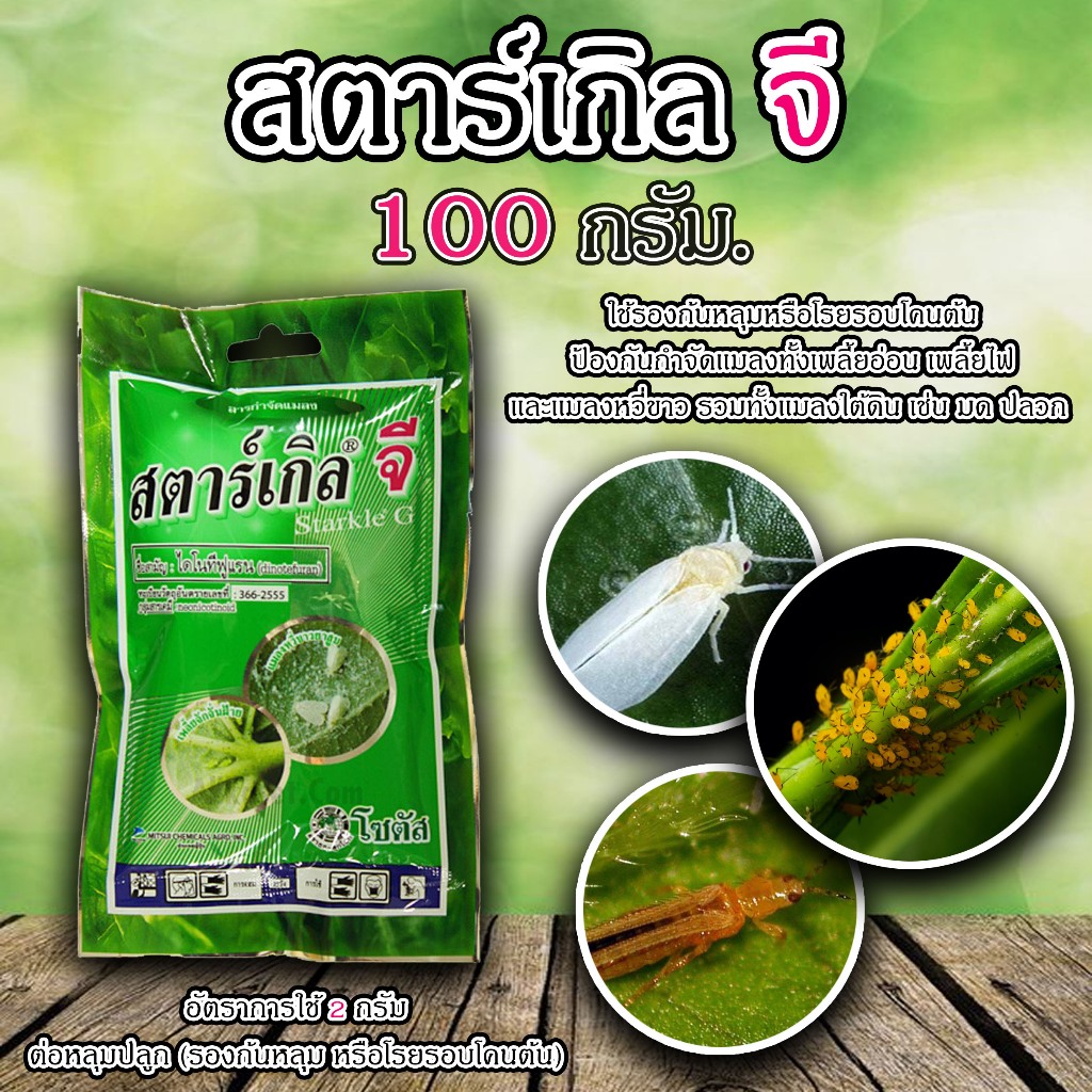 สตาร์เกิล จี (ไดโนทีฟูแรน dinotefuran) 100 กรัม