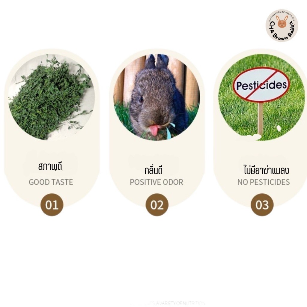 หญ้ากระต่าย หญ้าอัลฟาฟ่าอบลมร้อน Super Premium Alfalfa Grass ขนาด 1Kg.(กล่องน้ำตาล) ใบล้วน - รูปที่ 6