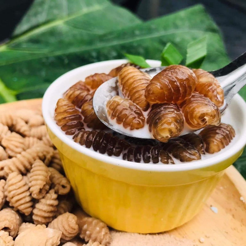 ตัวครองแครงแป้งสาคูต้นแท้พัทลุงแบบดั้งเดิมแป้งสาคูแท้100%ไม่ผสมแป้งอื่นขนาดแพ็คละ500กรัม