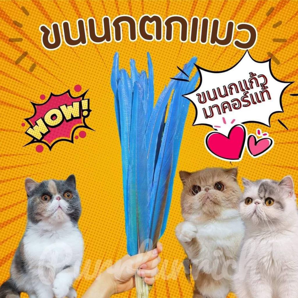 ขนนกตกแมว ของเล่นแมว ไม้ตกแมว(ราคาต่อเส้น) รบกวนซื้อแยกกับสินค้าอื่นนะคะ