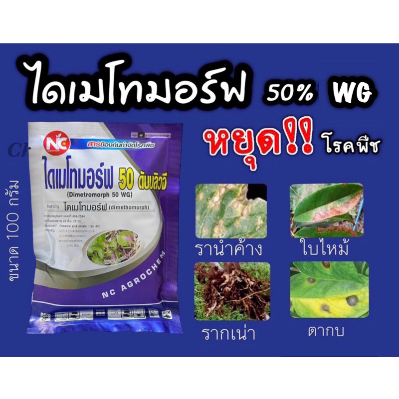 ไดเมโทมอร์ฟ 50% ดับบลิวจี ป้องกันเชื้อรา ราน้ำค้าง แอนแทรคโนส ไฟท๊อปเทอร่า -100 กรัม