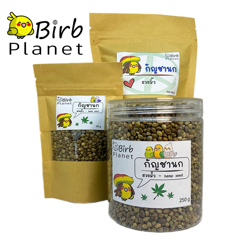 ฮวยมั้วเกรดA สำหรับนกแก้ว อาหารนก 250g / 185g / 45g Hemp seed, ideal for training. BIRB PLANET