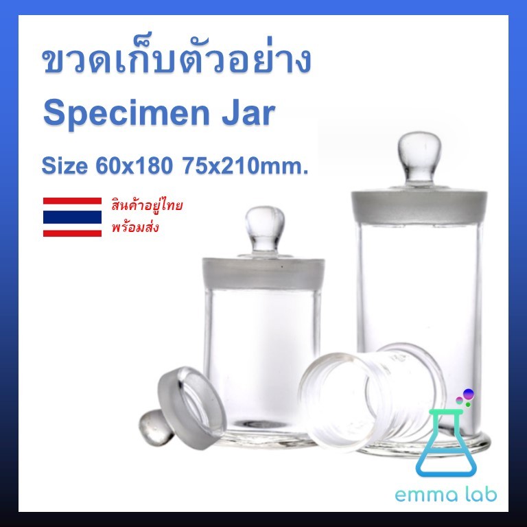 ขวดเก็บตัวอย่าง ขนาด 60x180 75x210มม. Specimen Jar 60x180 75x210 mm. อุปกรณ์วิทยาศาสตร์