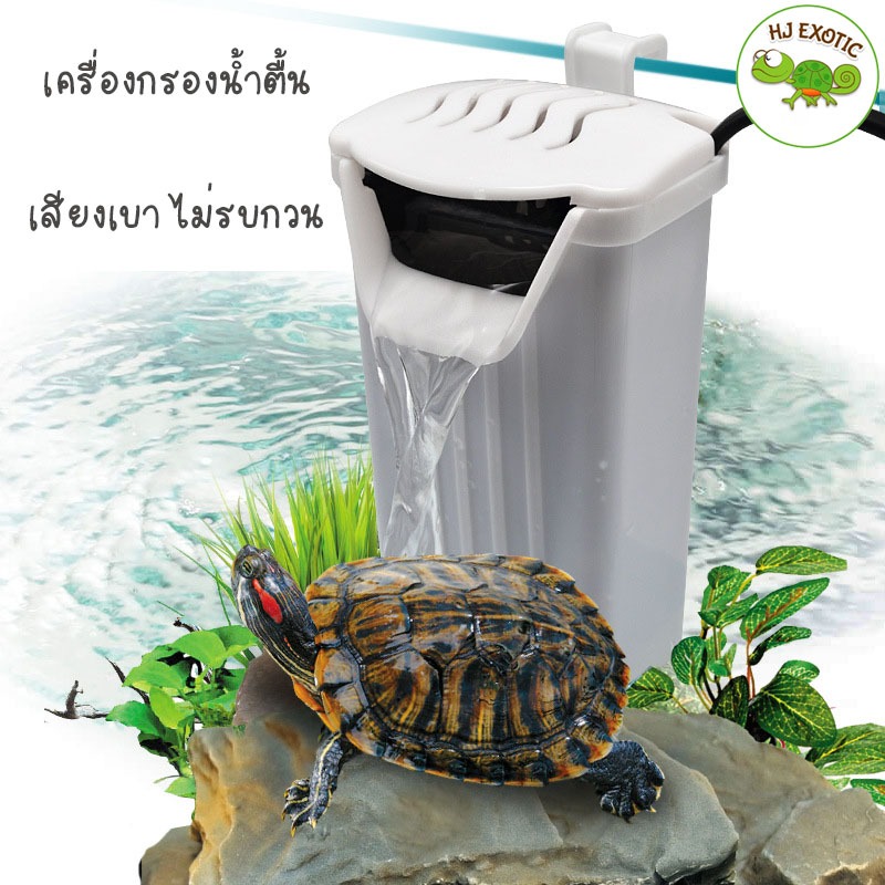 เครื่องกรองน้ำ กรองน้ำเต่าAQUATIC REPTILE FILTER เสียงเงียบ(กรองน้ำตื้น)
