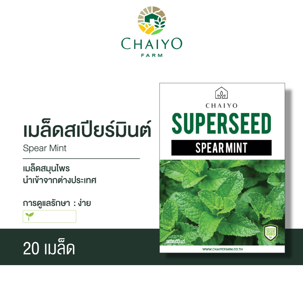 เมล็ด SPEAR MINT สเปียร์มินต์