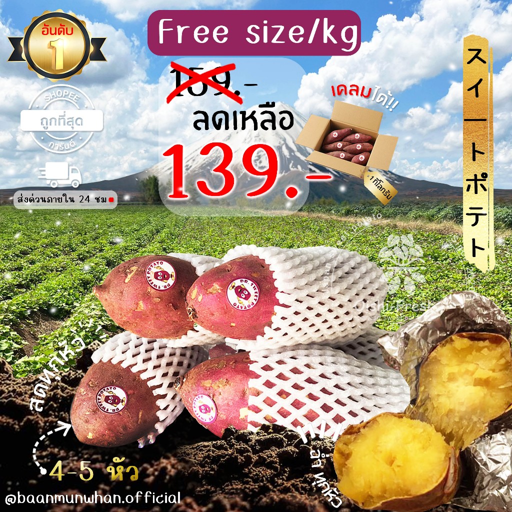 Oishi-Fresh มันหวานญี่ปุ่นตรา Great fruit Beni haruka Silk sweet เนื้อเหลือง หอมหวาน อร่อย 1 กก.จัดส่ง 24 ชม.
