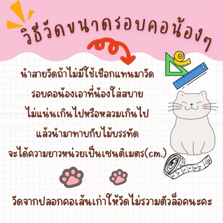 ปลอกคอแมวใส่ชื่อน้องๆจี้ตัวอักษร