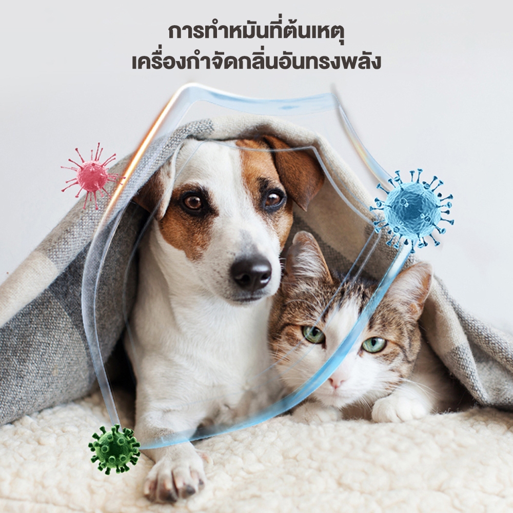 Winky Wink x Petcho น้ำยาฆ่าเชื้อสัตว์เลี้ยงแบบเข้มข้น น้ํายาถูพื้น สัตว์เลี้ยง  ใช้เจือจางด้วยน้ำ 1000ML - รูปที่ 5