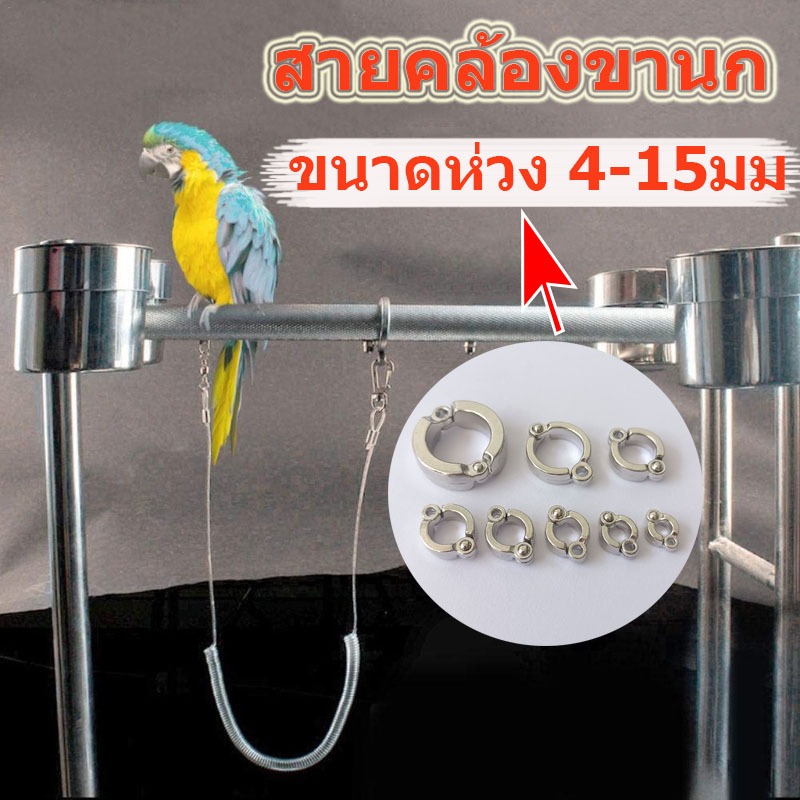 ถูก สายคล้องขานก ห่วงขานก สายสำหรับฝึกอบรมนกแก้ว ยาว 3 เมตร