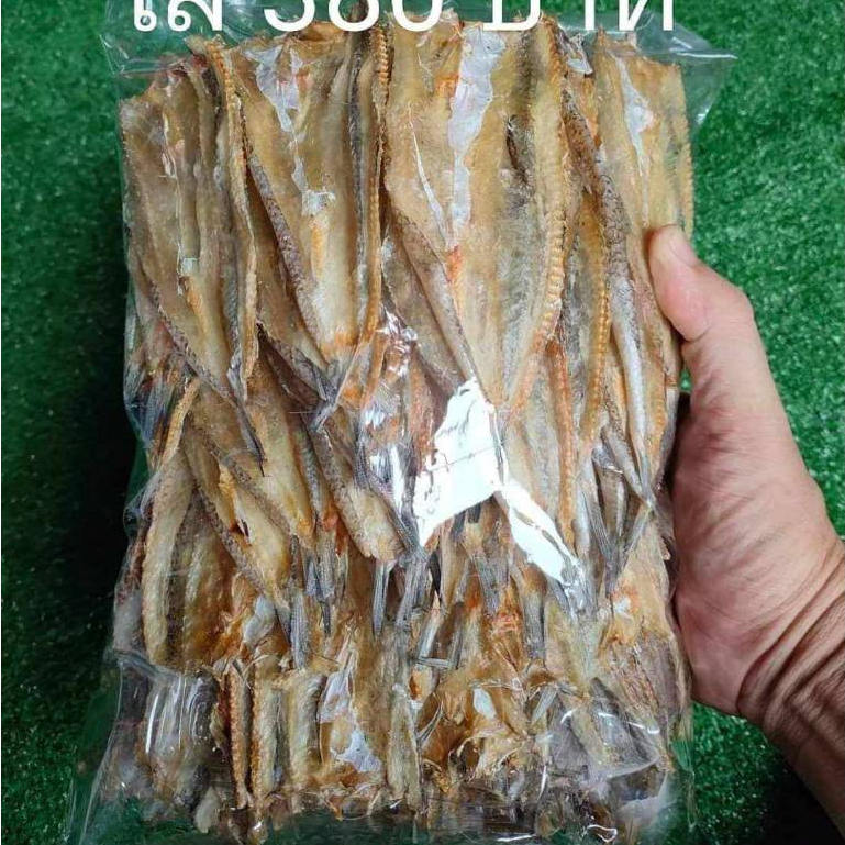 ปลาช่อนเล็กขนาด500กรัม