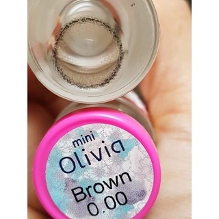 คอนแทคเลนส์ Mini Olivia Brown / Light Brown / Gray (Kitty Kawaii) ขนาดมินิ 🌷 ลายฮิต ขายดีมาก [ค่าสายตา-400 ถึง -1000] - รูปที่ 2