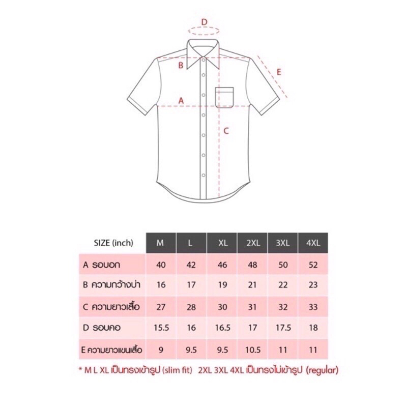 เสื้อเชิ้ตสีพื้นเรียบแขนสั้น 12สีขายดี ไซส์ m l xl 2xl 3xl 4xlใส่ทำงานใส่เที่ยว ผ้าOxford💯%คุณภาพดี ใส่ได้ทั้งชายและหญิง - รูปที่ 7