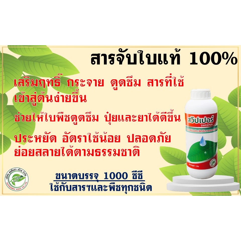สารจับใบ "สวิปเปอร์ (SWEEPER)" สารเพิ่มประสิทธิภาพและทนฝน, สารจับใบและดูดซึม อัตราใช้น้อย คุ้มค่าทุกหยด