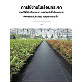 *โค้ดส่งฟรี*คลุมดิน (เกรด A) ผ้าคลุมวัชพืช น้ำซึมผ่านได้ คลุมวัชพืช พลาสติกคลุมวัชพืช หมดปัญหาหญ้าขึ้นกวน ขนาด50~100ม.