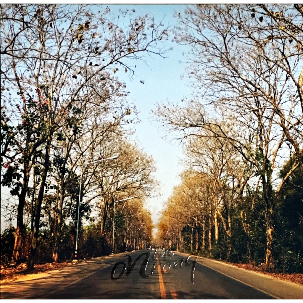 นั่งเล่น - On The Road