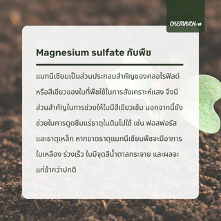 5KG แมกนีเซียมซัลเฟต ปุ๋ยใบเขียว ดีเกลือฝรั่ง / Magnesium sulfate heptahydrate (Epsom salt) - Chemrich