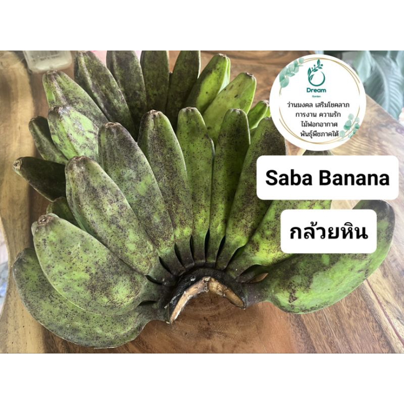 กล้วยหินแก่ 1 หวี และกล้วยอื่นๆ (สำหรับรับประทาน หรือเลี้ยงนก)