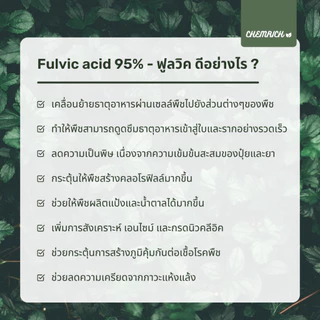 500G/1KG ฟูลวิค ฟูลวิคแอซิดผง 95% ช่วยดูดซึมสารอาหาร ปุ๋ย ฮอร์โมน ละลายน้ำดี ไม่มีตะกอน / Fulvic acid 95% - Chemrich