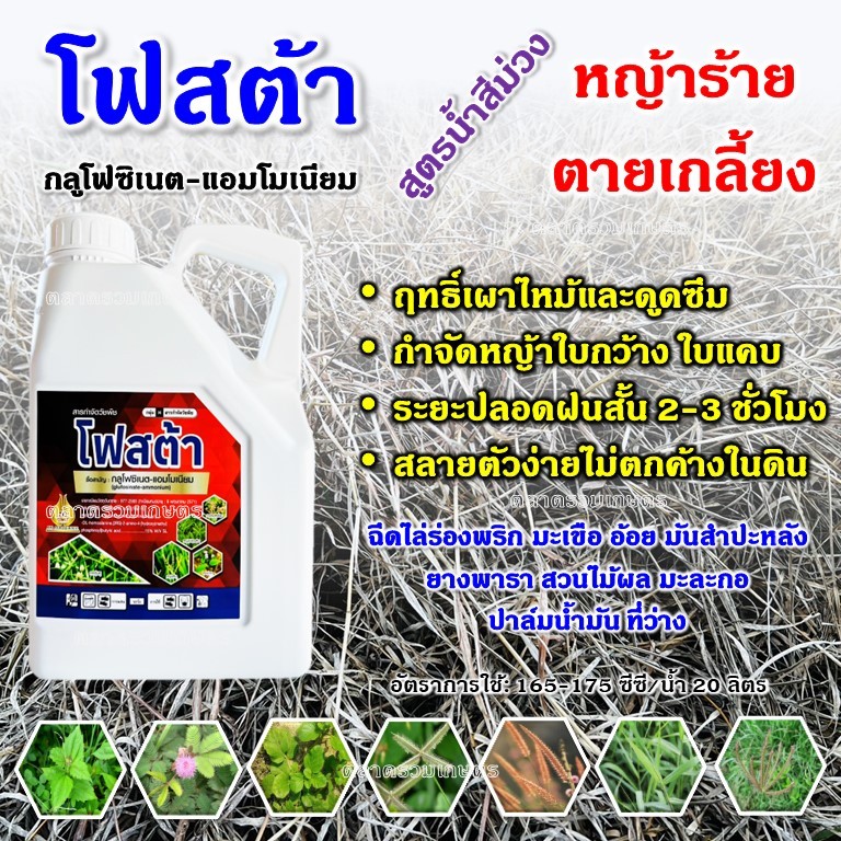 ยาฆ่าหญ้า ยาฆ่าหญ้าเผาไหม้ โฟสต้า (สูตรพิเศษน้ำม่วง) กลูโฟซิเนต-แอมโมเนีย กลูโฟซิเนต ขนาด 4 ลิตร