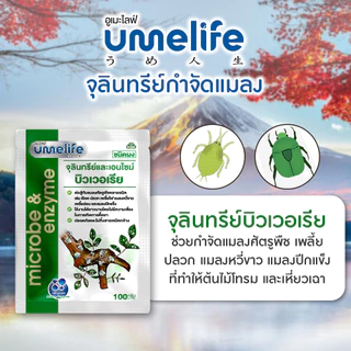 อูเมะไลฟ์ บิวเวอเรีย 100 กรัม กำจัดแมลง ป้องกันแมลงกินใบ ป้องกันใบเหี่ยวจากเพลี้ย กำจัดเพลี้ย