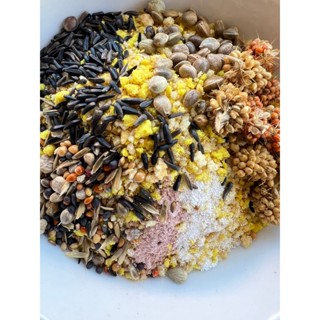 อาหารไข่ สูตรพรีเมี่ยม 100กรัม อาหารเสริมสำหรับนกปากขอ