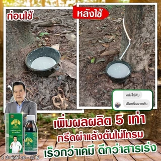 1 ขวด Dose [โดส] ฮอร์โมน อาหารเสริมพืชอินทรีย์ ปริมาณ 180 CC แก้ปัญหาหน้ายางตายนึ่ง น้ำยางไหลน้อย