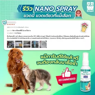 ‼️ เห็นผลไวมาก ‼️ BETAPET สเปรย์นาโน เลียได้ ฉีด พ่น แผลแห้งไว ผิวหนังชุ่มชื้น เบต้ากลูแคน สำหรับสัตว์เลี้ยง สุนัข แมว
