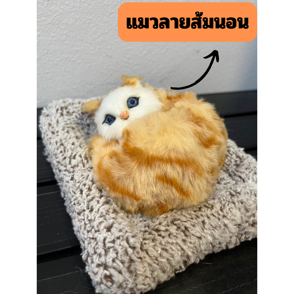 ตุ๊กตาดับกลิ่น น้องแมวนอน รุ่นมีเสียง มีหลายแบบให้เลือก ดับกลิ่นในรถ ดูดกลิ่น ตุ๊กตาแมว - รูปที่ 5