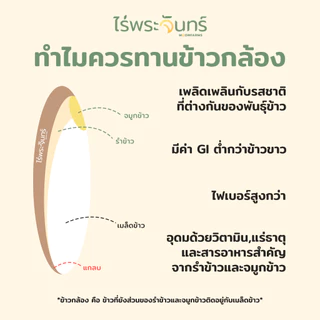 ข้าวกล้องหอมมะลิ 5Kg คัดพิเศษ ปลอดสาร ไม่ใช้สารกันมอด แบรนด์ไร่พระจันทร์ ข้าว กล้องหอมมะลิ ข้าวกล้อง Brown Rice