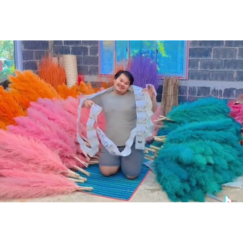 ดอกเลาสีสวยๆ ราคาต่อ1กำ มี10ก้าน ดอกหญ้าเลา ดอกเลาแห้ง pampas ดอกเลาย้อมสี – โปรปัง