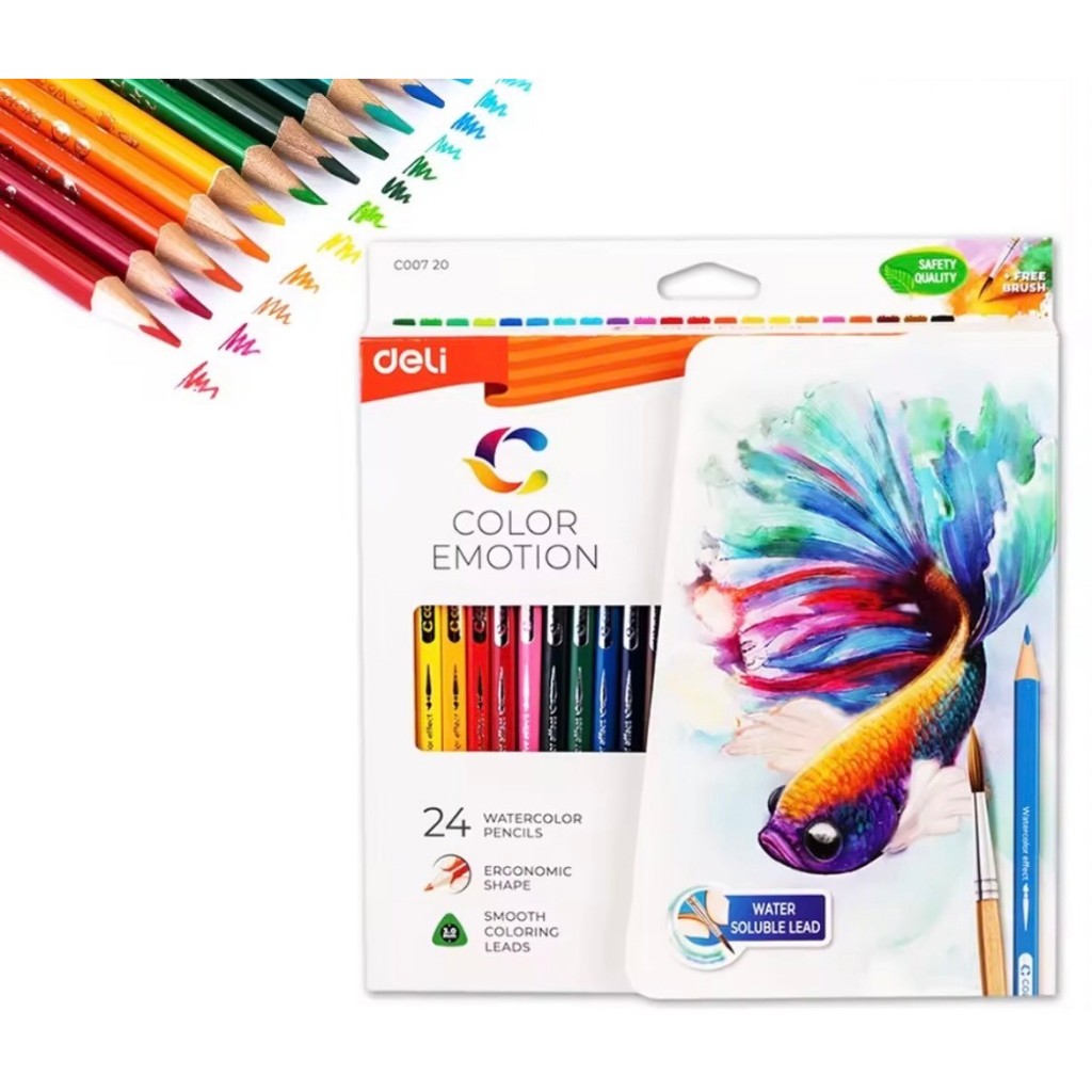 Deli ดินสอสีไม้ระบายน้ำแท่งยาว บรรจุ 24 สี ฟรีพู่กัน