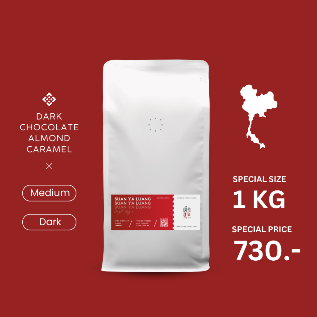 เมล็ดกาแฟสวนยาหลวง ขนาด 500 กรัมและ 1 กิโลกรัม เมล็ดกาแฟคั่วอาราบิก้า บริการบดฟรี Cherdchai Coffee Roasters