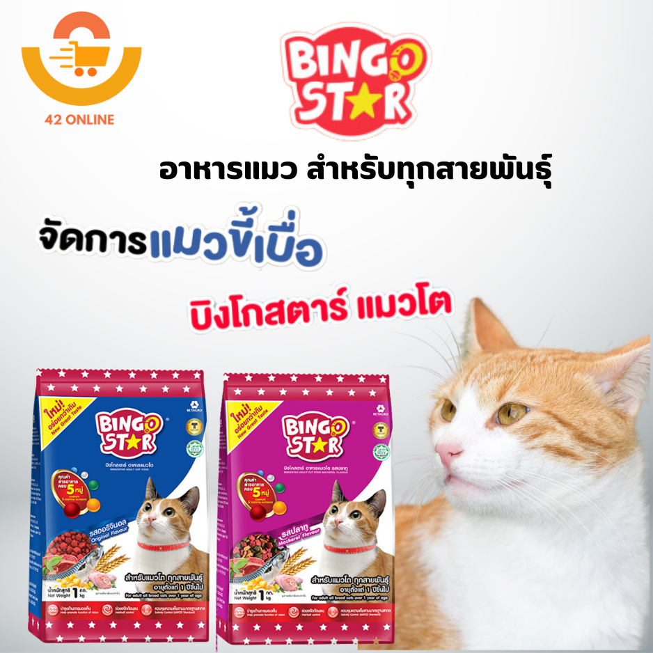 Bingo Star Cat บิงโก สตาร์ อาหารแมว 1kg.