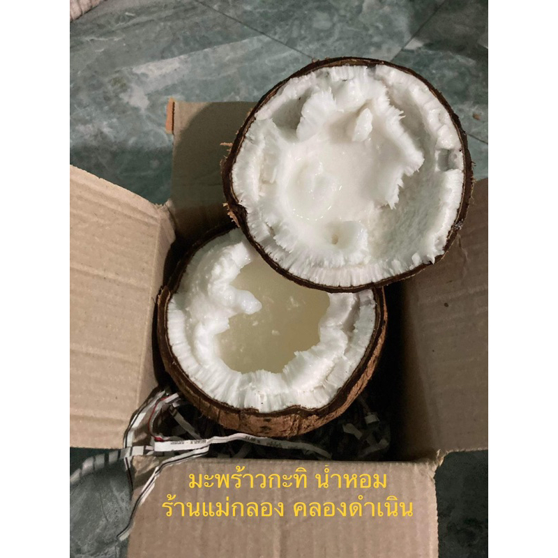 มะพร้าวกะทิน้ำหอม (ไซส์ 5-8 ขีด) สดๆจากสวน จัดส่งไว 1-3 วัน