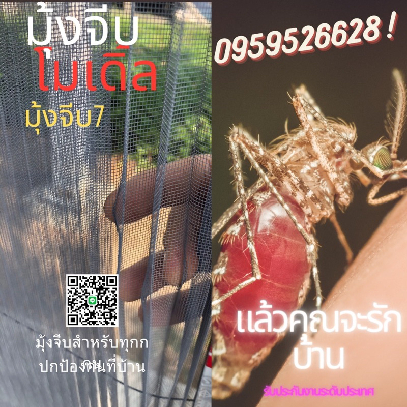 มุ้งจีบลายไม้ มุ้งจีบประตู มุ้งจีบตามสั่ง พร้อมติดตั้ง ส่งฟรีไม่ต้องใช้ Code