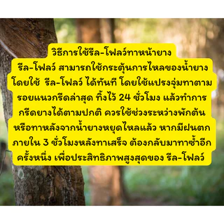 รีลโฟลว์ 10 ยาทาหน้ายาง สูตรเข้มข้น น้ำยางไหลดี กรีดนิ่ม ไม่สะดุด [3-013]