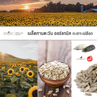 เมล็ดทานตะวัน ออร์แกนิค 300 กรัม Exp.1/2027 ปลอดสารเคมีตกค้าง มีอย เต็มเม็ด ( Organic Sunflower Kernels ) NUTRIRIS Brand