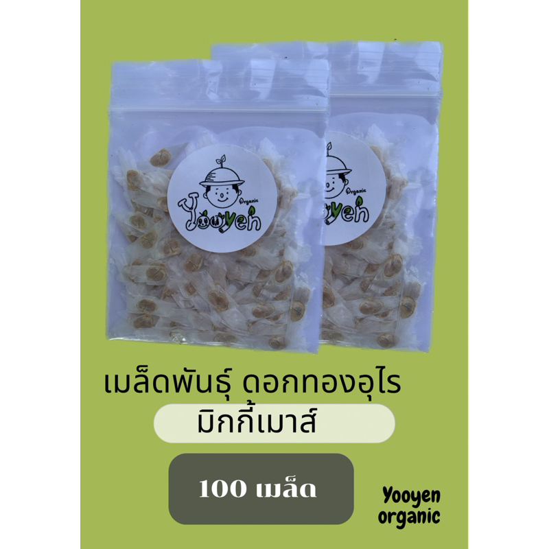 เมล็ดพันธุ์ดอกทองอุไร(มิกกี้เมาส์)100เมล็ด