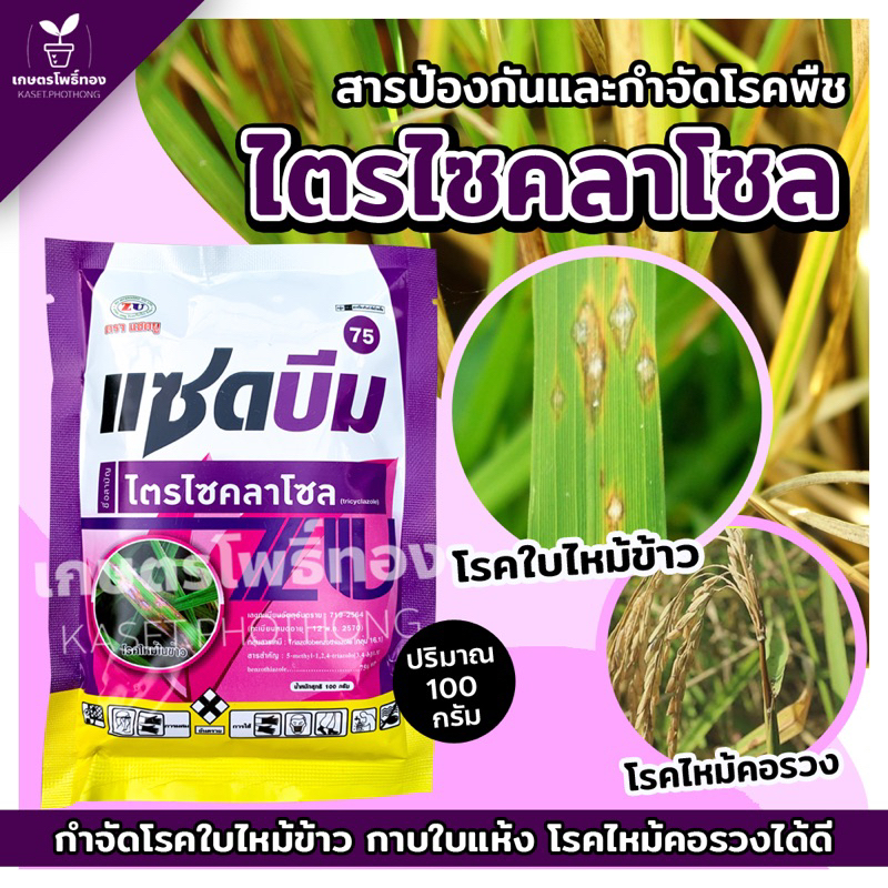 แซดบีม75 ไตรไซคลาโซล กำจัดโรคใบไหม้ ไหม้คอรวง กาบใบแห้ง ในนาข้าว 1 ซอง ปริมาณ 100 กรัม