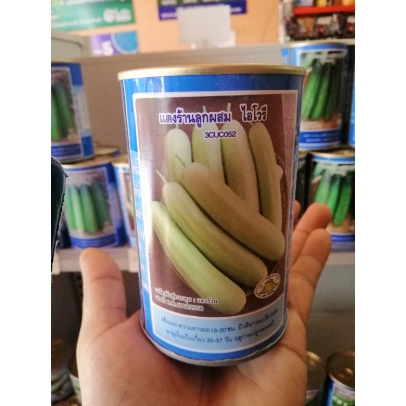 ตรางอบทอง​ เมล็ดแตงร้านลูกผสม​ ไอโวรี​ 3CUC052 ขนาด100กรัม