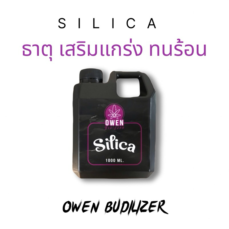 Silica ซิลิก้า เสริมแกร่ง เพิ่มผลผลิต พืชทนร้อน ทนน้ำค้าง เชื้อราเจาะไม่เข้า แมลงฟันหัก ลำต้นหนา กิ่งใหญ่ เป็น pH up