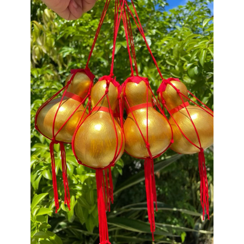 น้ำเต้าทอง น้ำเต้าเงิน แท้จากธรรมชาติ - รูปที่ 5